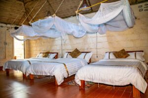 Budget tour packages in Kenya