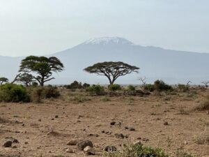 Kenya Amboseli kilimanjaro views 3 Days