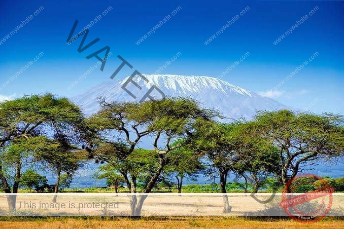 Read more about the article 6 Days Amboseli Naivasha Masai Mara