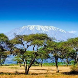 Amboseli - kilimanjaro Views