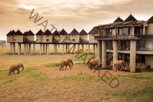 Read more about the article Taita Hills Wildlife Sanctuary Safari