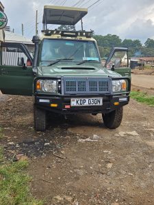 Read more about the article 4 x 4 Safari Land Cruiser