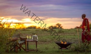 Read more about the article High Comfort Safari Kenya Escapes