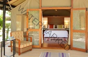 Read more about the article Sarova Mara Game Camp Fly In Package