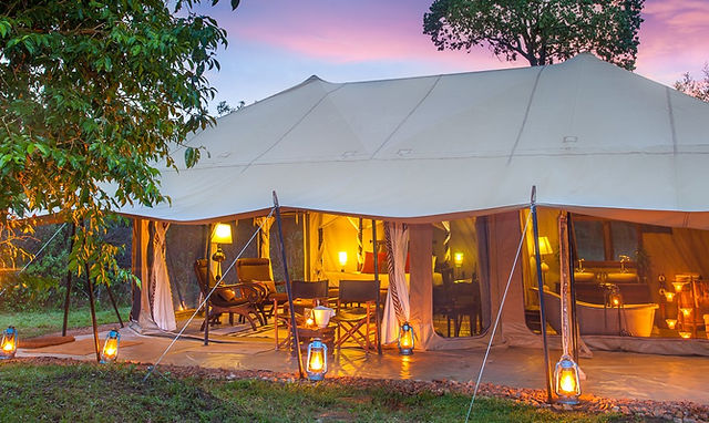 Read more about the article Boutique Safari Journeys